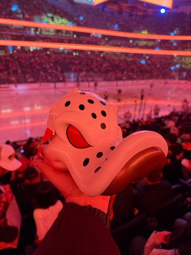 2026 nuovo anaheim - 2026,
